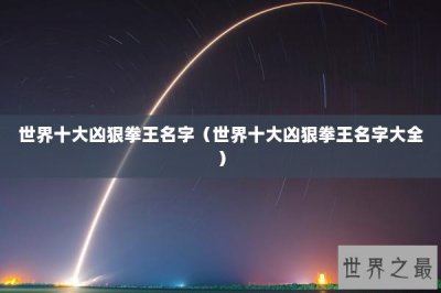 ​世界十大凶狠拳王名字（世界十大凶狠拳王名字大全）