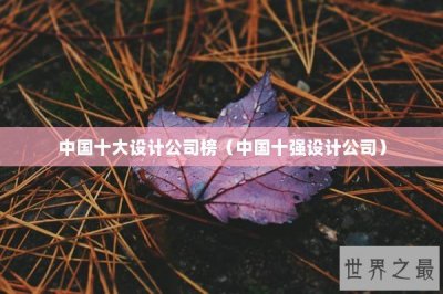 ​中国十大设计公司榜（中国十强设计公司）