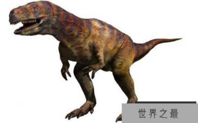 ​阿贝力龙(Abelisaurus)：体长7至9米的阿根廷大型食肉恐龙