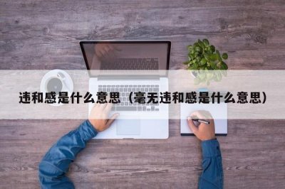 ​违和感是什么意思（毫无违和感是什么意思）