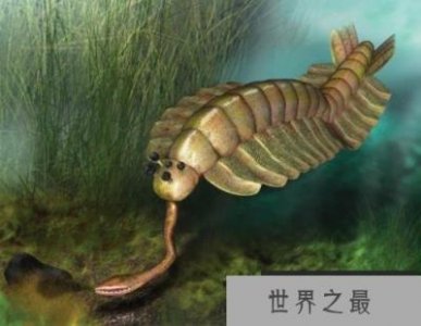 ​全球最恐怖四大远古生物，游走鲸排在第二位