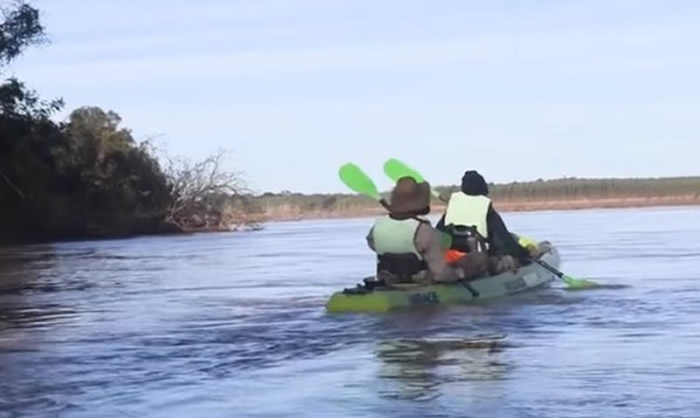 研究人员花了4天划船巡视，却没再见到野生巨獭。（图／翻摄自Fundación Rewilding Argentina）