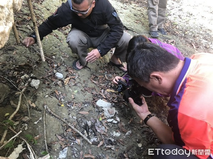 贪食沼虾！台湾高雄寿山淡水水域发现15CM巨型“过山虾”