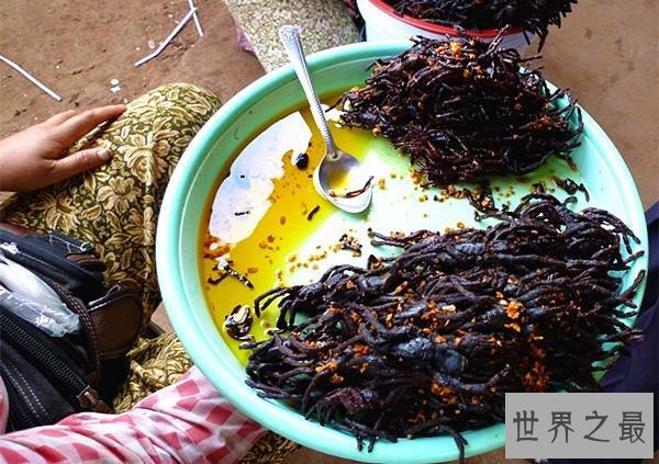 世界十大虫类美食，油炸毒蜘蛛最好吃(色香味俱全)