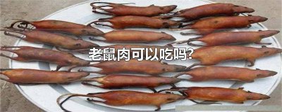 ​老鼠肉可以吃不 老鼠肉能不能吃?