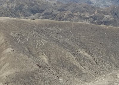 ​秘鲁纳斯卡沙漠附近再发现50幅新巨型地画 较纳斯卡线更久远