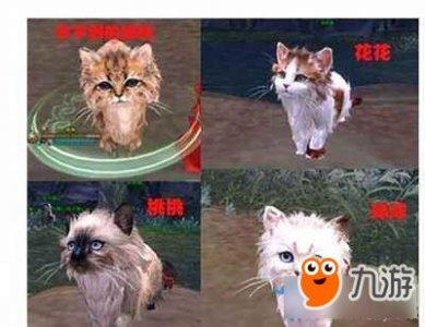 ​剑网3波斯猫宠物获得方法 剑网3波斯猫宠物怎么获取