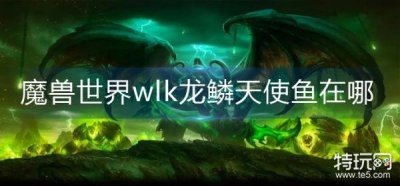 ​魔兽世界wlk龙鳞天使鱼在哪