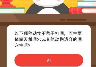 ​微博森林驿站12月24日森林小课堂答案