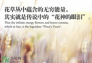 fiori segreti花草的秘密什么牌子_什么档次