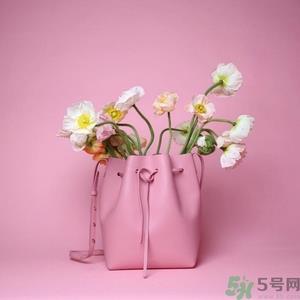 Mansur Gavriel真假辨别图对比