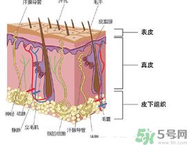 为什么头发越来越油？头发应该几天洗一次？