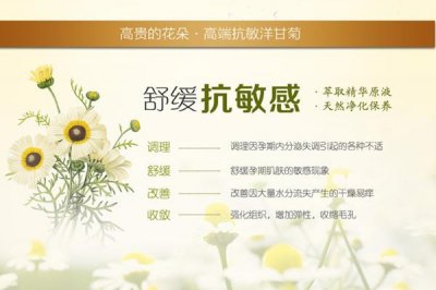 ​洋甘菊护肤成分的功效 洋甘菊成分适合什么肤质