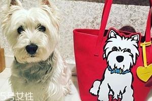 marc tetro是什么牌子？美国高性价比包包品牌