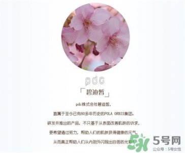 ​pdc是什么牌子?pdc是哪个国家的?