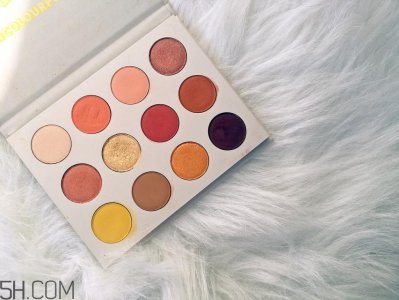 ​colourpop眼影盘哪款好_colourpop眼影盘试色对比