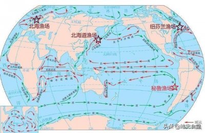 ​纽芬兰渔场为何衰落了？