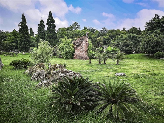 走进贵阳观山湖区喀斯特公园