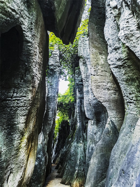 走进贵阳观山湖区喀斯特公园